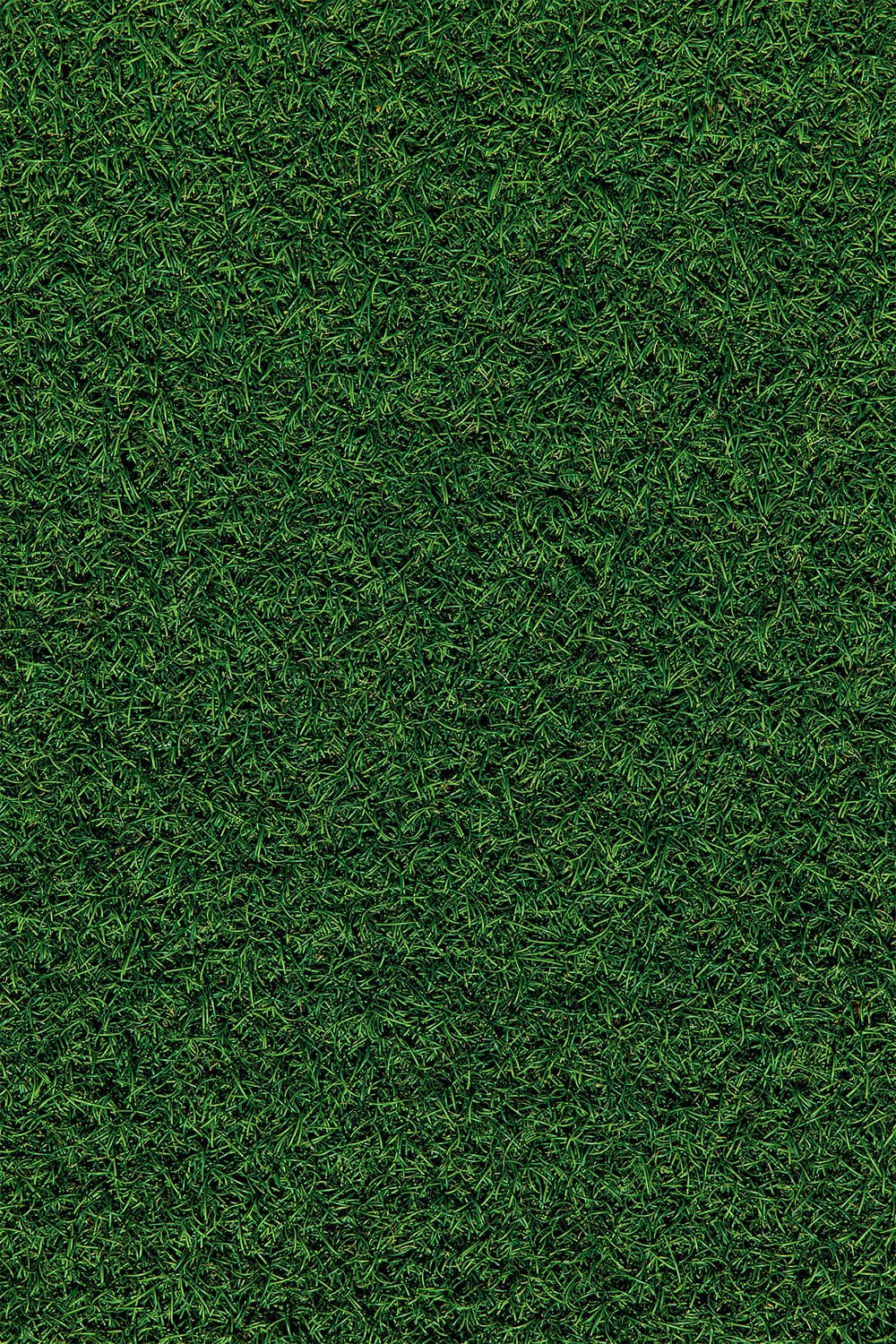 Land Hover Image